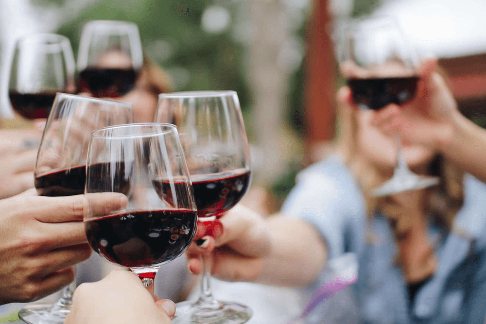 A group of people clink glasses of red wine in a festive toast.